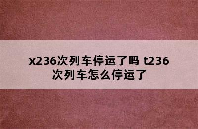 x236次列车停运了吗 t236次列车怎么停运了